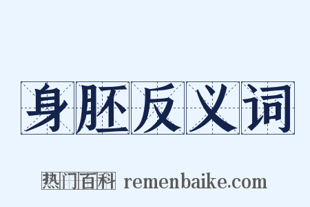 身胚反义词是什么意思的图片